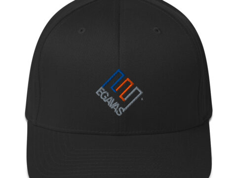 Egavas Enron Logo Knicks Team Color Structured Flexfit Twill Cap
